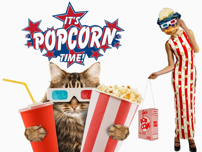 Court Docket For Doug Spink, Cryptostorm Creator 1 Court Docket For Doug Spink, Cryptostorm Creator - 1