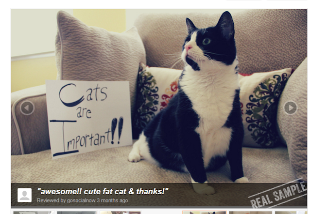 GoSocialNow Account, Commissions and Reviews - 4