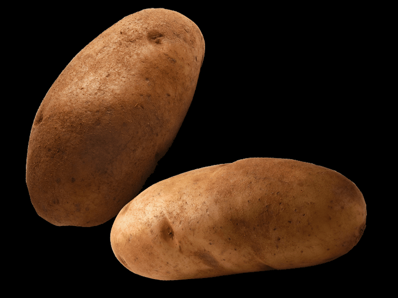 Neal and Sang Once Again. Snitches Have Itches 1 Neal and Sang Once Again. Snitches Have Itches - 1