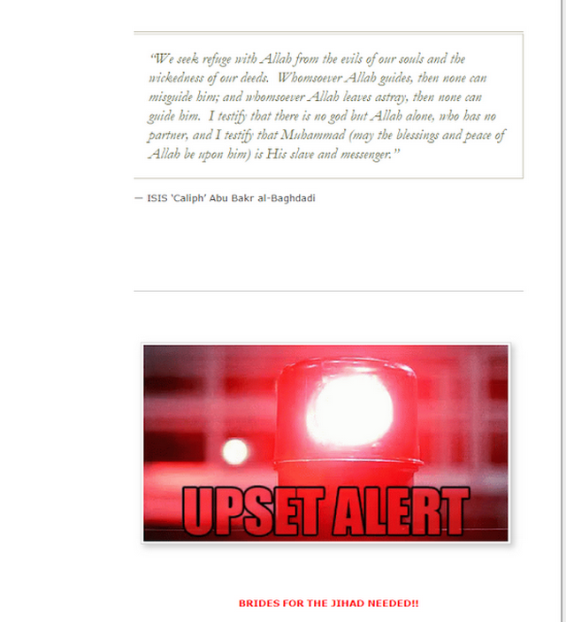 Rauhauser Blog Post Calls For Death And Rape; June, 2017 13 Rauhauser Blog Post Calls For Death And Rape; June, 2017 - 13