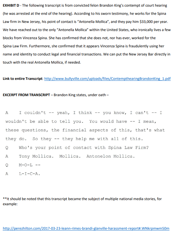 Siggy's Team Goes Full Racist, 2014 #RHONJ 7 Siggy's Team Goes Full Racist, 2014 #RHONJ - 7