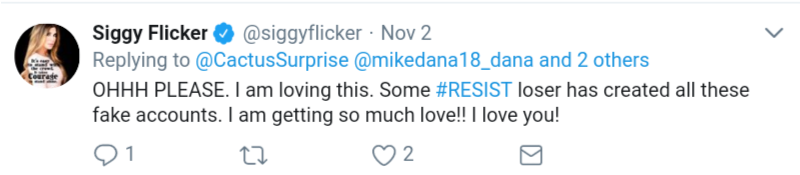 The Alt Siggy Flicker 6 The Alt Siggy Flicker - 6