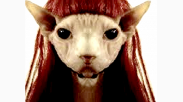 Tweets by Trina Cuppett March 29th, 2013 - 63