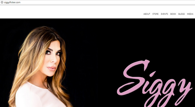Siggy Flicker, Austin Bike Pimp - 4