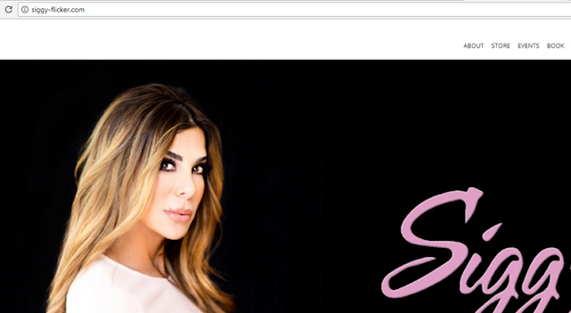 Siggy Flicker, Austin Bike Pimp - 7