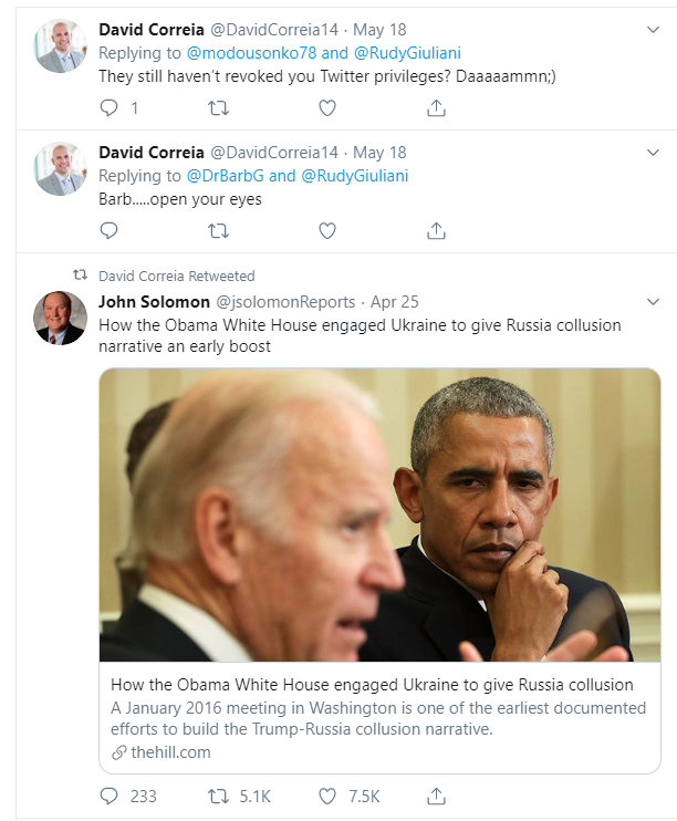 Giuliani Goon, David Correia's Deleted Twitter Timeline 9 Giuliani Goon, David Correia's Deleted Twitter Timeline - 9