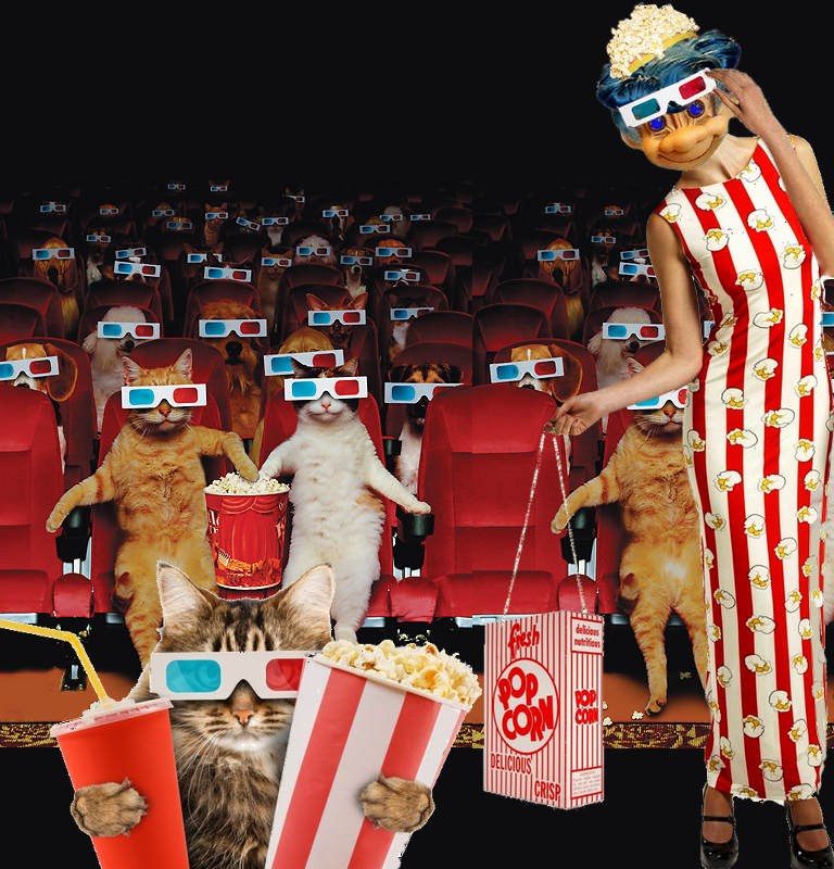 Neal Rauhauser To Appear In Texas Court Friday - 1